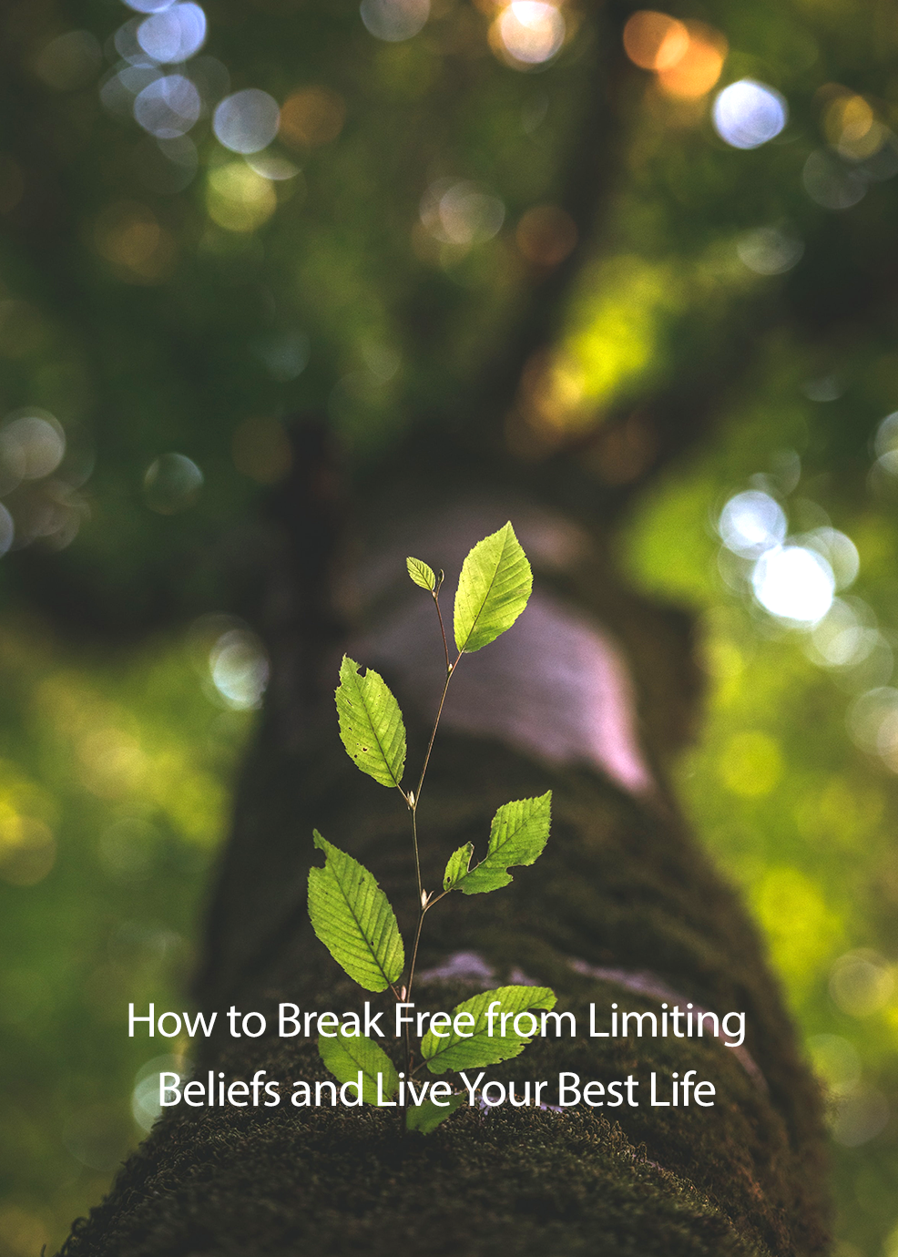 The Growth Mindset